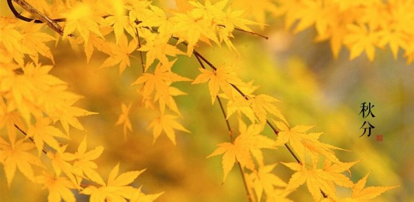 八月十四是阴历哪一天 wKgED1ujNsqAXAu3AAOS68QWDGc44.jpeg?imageView2%2F2%2Fw%2F600%2Fh%2F600%2Fq%2F90