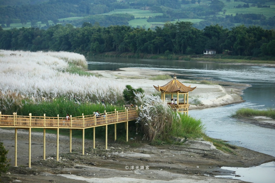 云南省旅游 盈江旅游攻略 原生态的傣家竹桥横跨在芦苇花盛放的大盈江