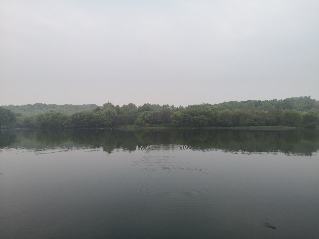 西湖美景三月天简谱_情人节后 最适合情侣的牵手旅行地