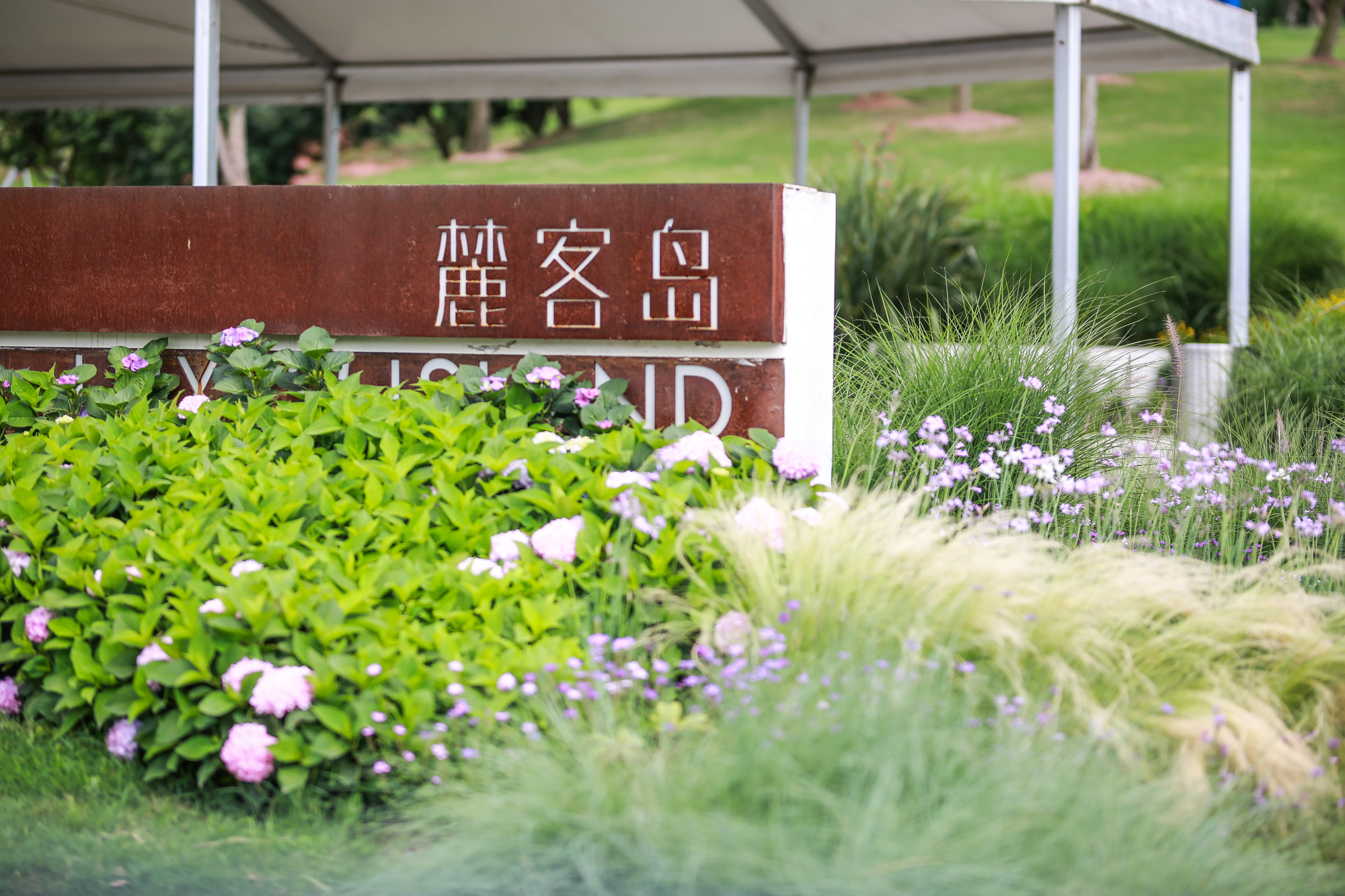 麓客岛这边感觉要大很多    