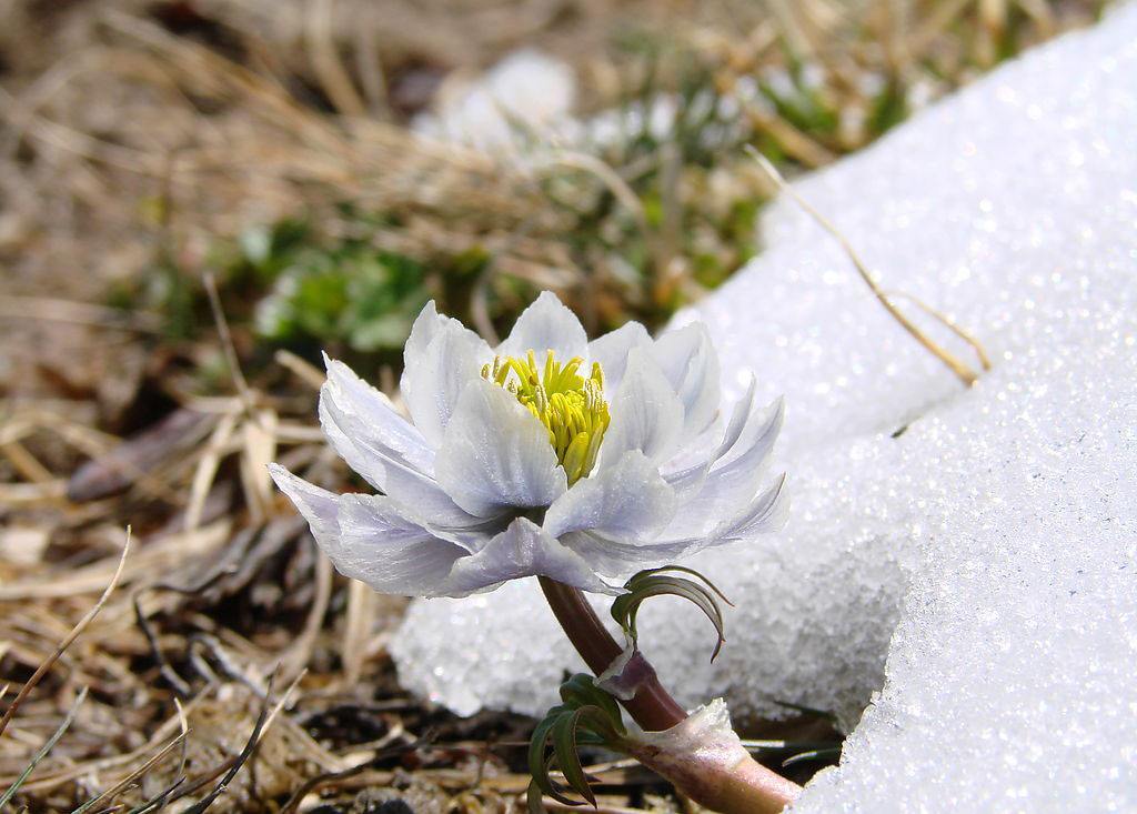 wKgEaVzb466AQRnKAAGDwzSpeys87.jpeg?imageView2%2F2%2Fw%2F680%2Fq%2F90%7CimageMogr2%2Fstrip%2Fquality%2F90
