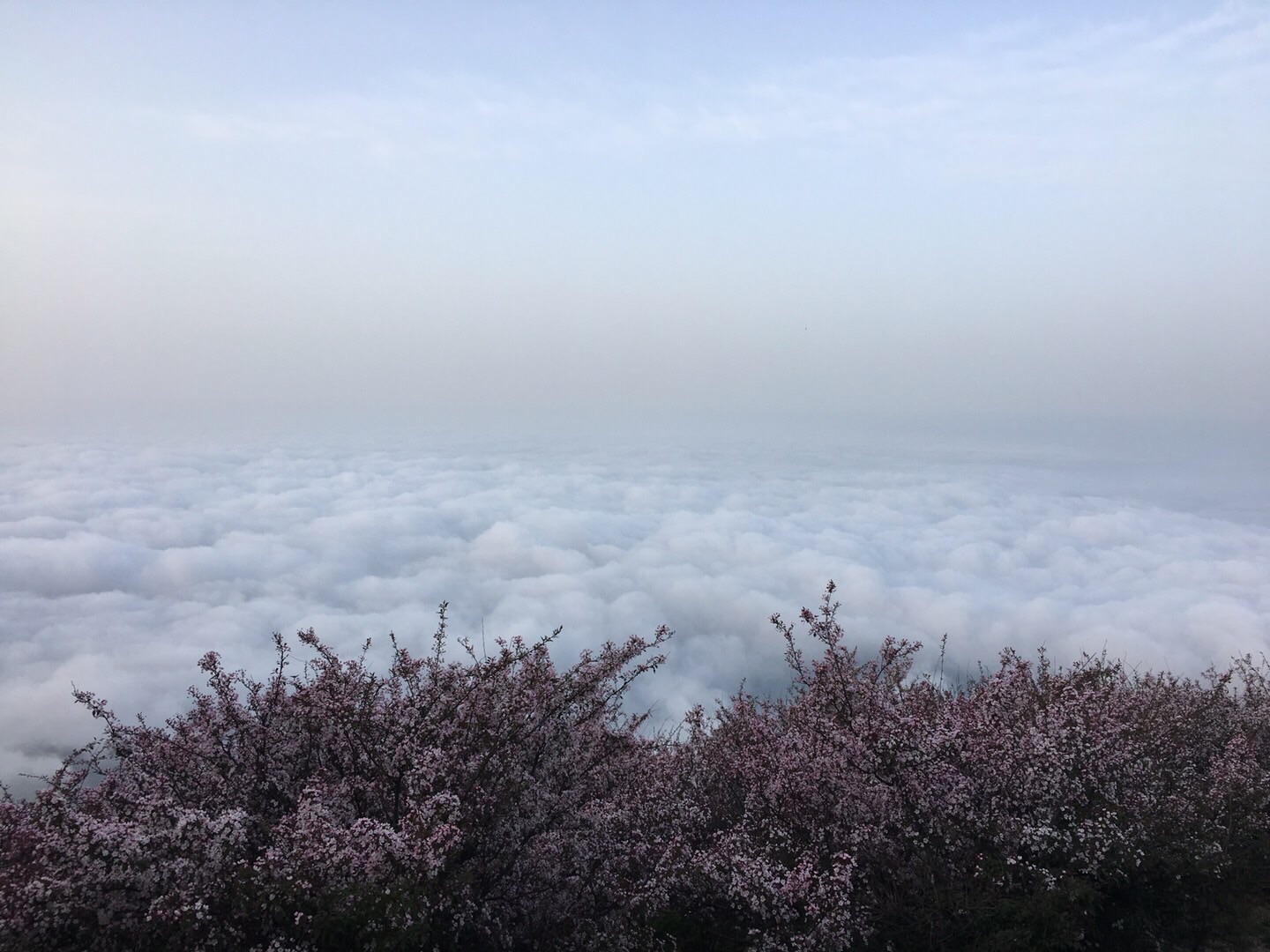 游泰山简谱_儿歌简谱