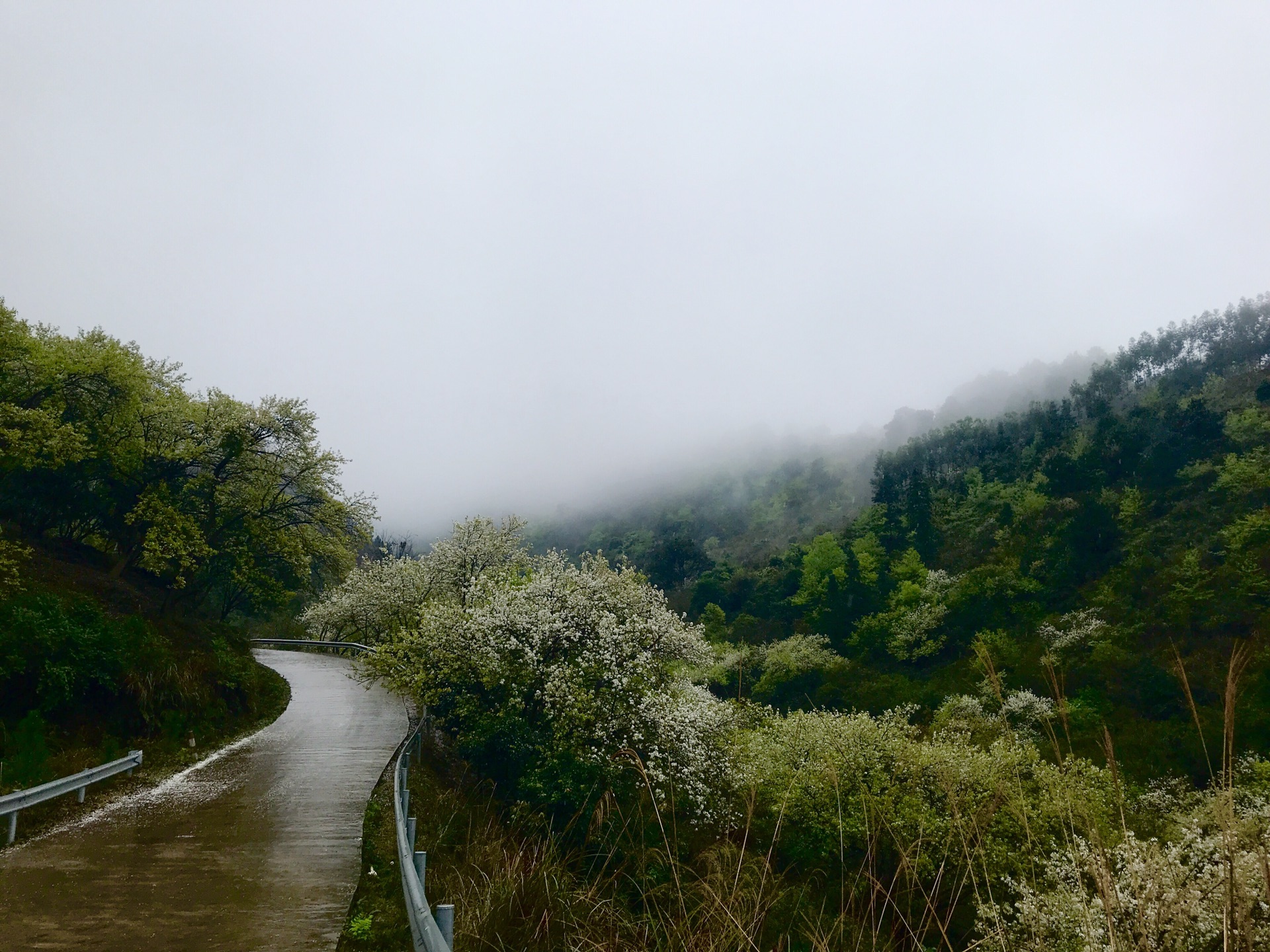 碗窑梨花谷景区        