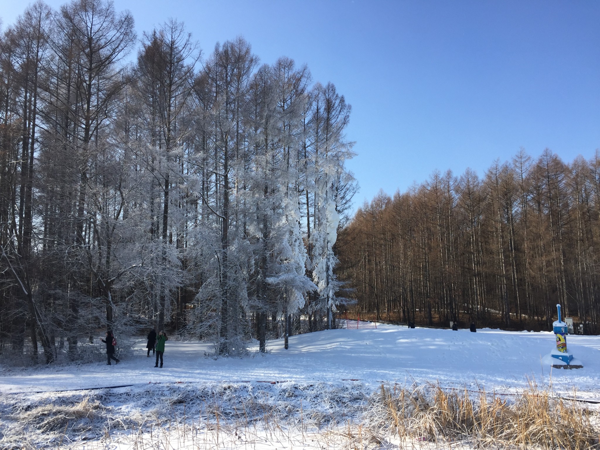 二龙山滑雪场游玩攻略 二龙山滑雪场出游秘籍 