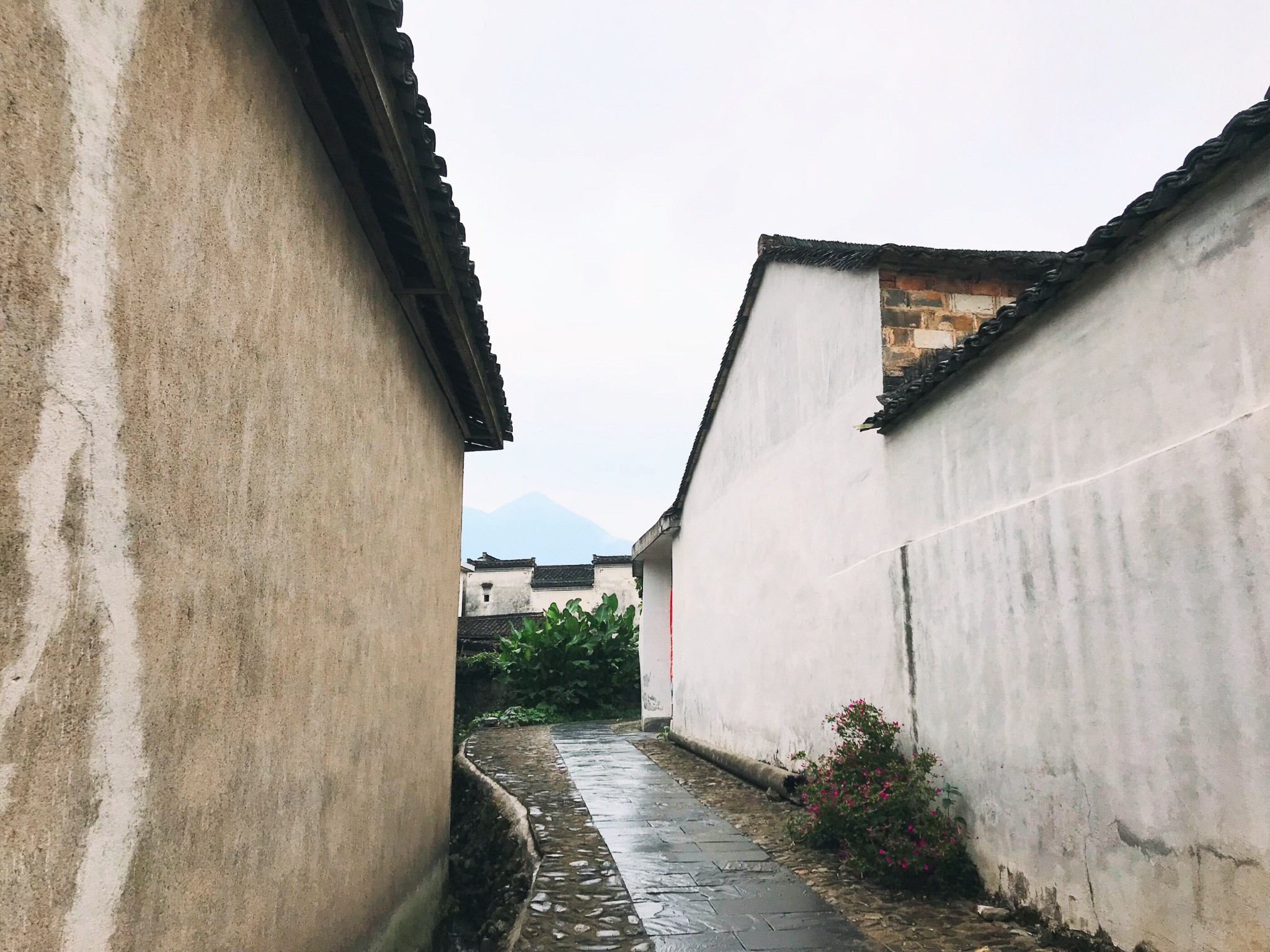 白墙黛瓦,水墨徽居 —— 南屏,宏村两日游