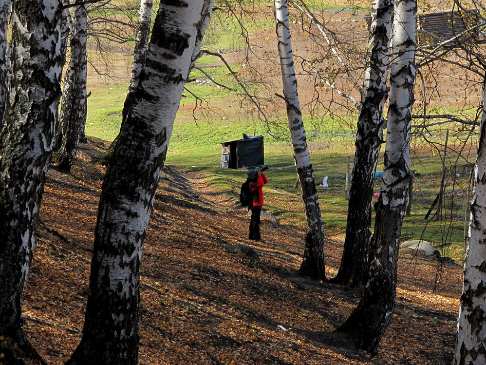 高山漏水古筝曲曲谱