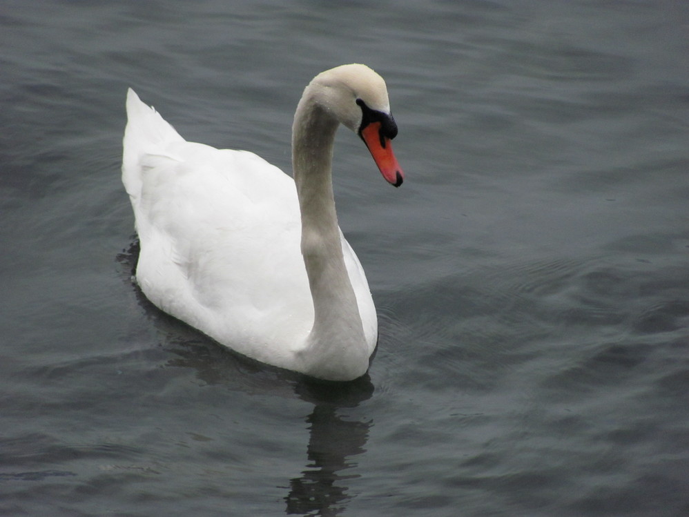 wKgBpU5RHAicsKRLAAGfFO5D27I71.jpeg?imageView2%2F2%2Fw%2F600%2Fh%2F600%2Fq%2F90