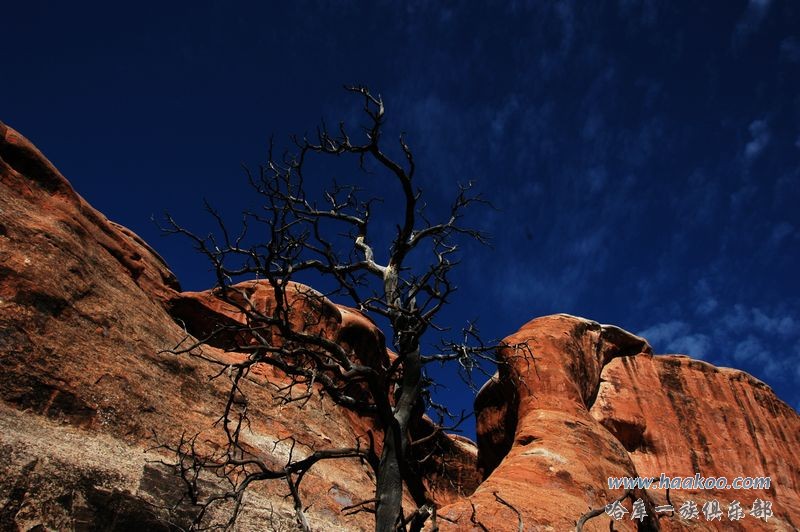 wKgBpU5cRU6xaPj5AAHEE8UOXYM42.jpeg?imageView2%2F2%2Fw%2F600%2Fq%2F90%7CimageMogr2%2Fstrip%2Fquality%2F90