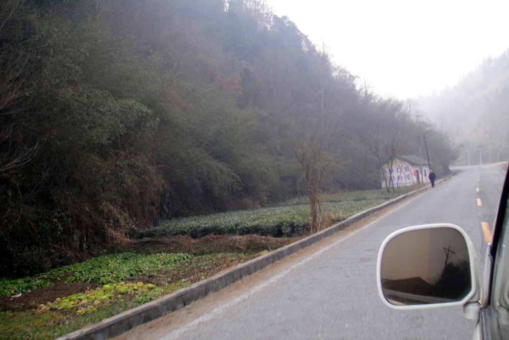 燕子河镇gdp_燕子简笔画(3)