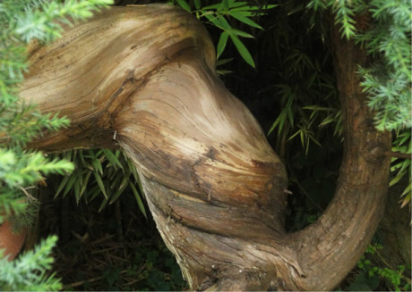 马蜂窝图片及功效 wKgByU_LUID2RjZ8AAFvBTX_hRA60.jpeg?imageView2%2F2%2Fw%2F460%2Fq%2F90