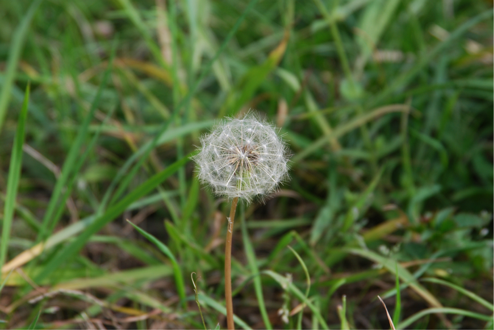 wKgB3FFiuNCAar_NAAmunwMtSUM99.jpeg?imageView2%2F2%2Fw%2F600%2Fh%2F600%2Fq%2F90