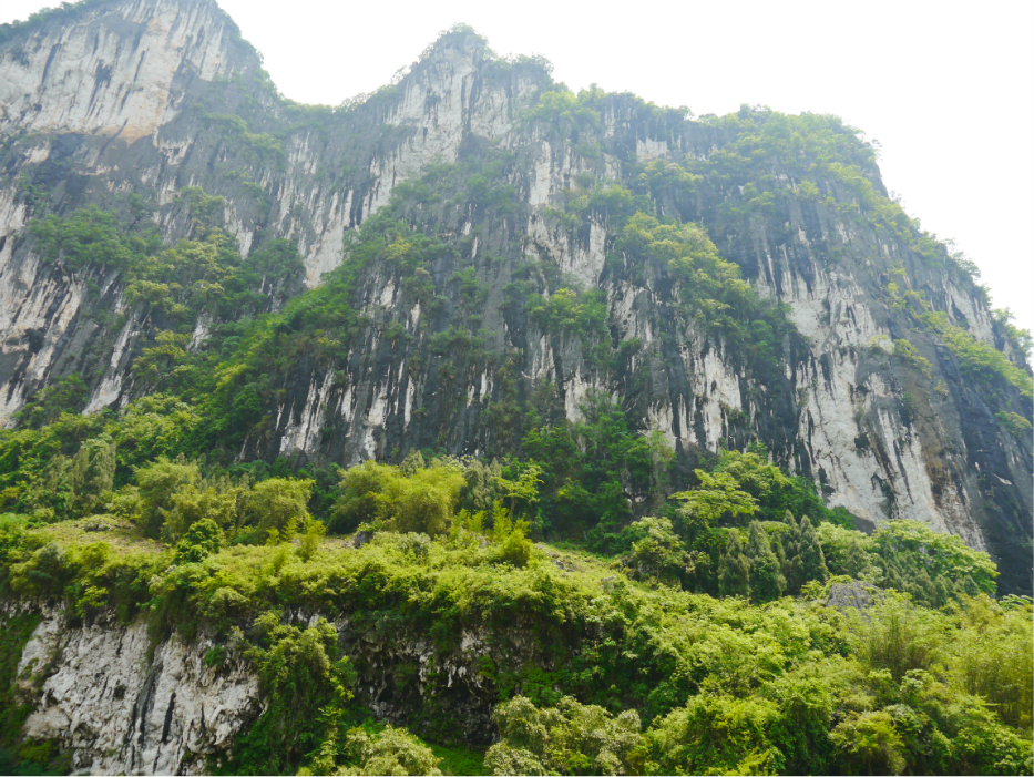 脍炙人口的田园诗_桂林 一首脍炙人口的山水田园诗(3)