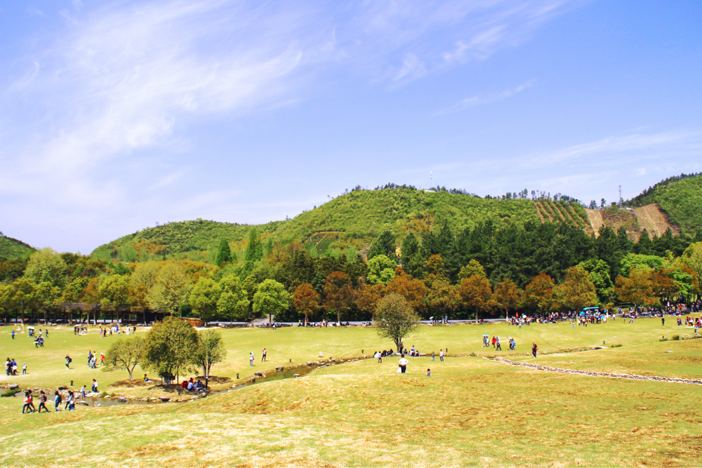 安吉中南百草原景区攻略,安吉中南百草原景区门票_,原