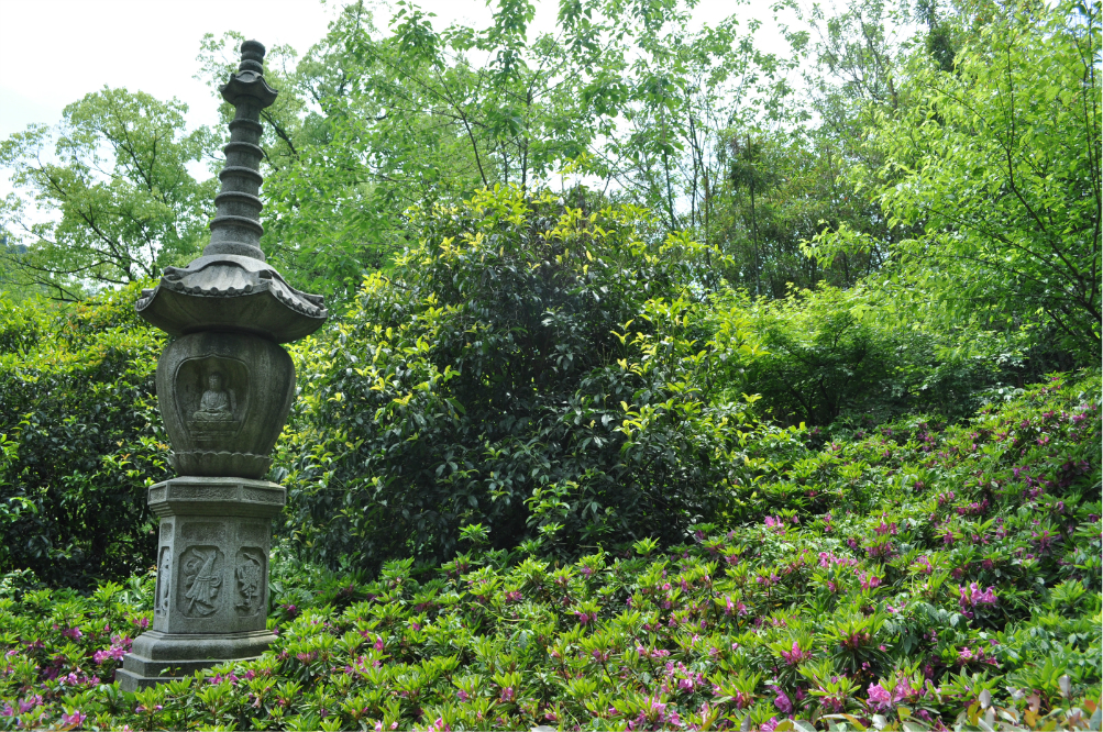 杭州龙井茶哪里好，杭州龙井茶去哪买，杭州哪里可以买到龙井茶