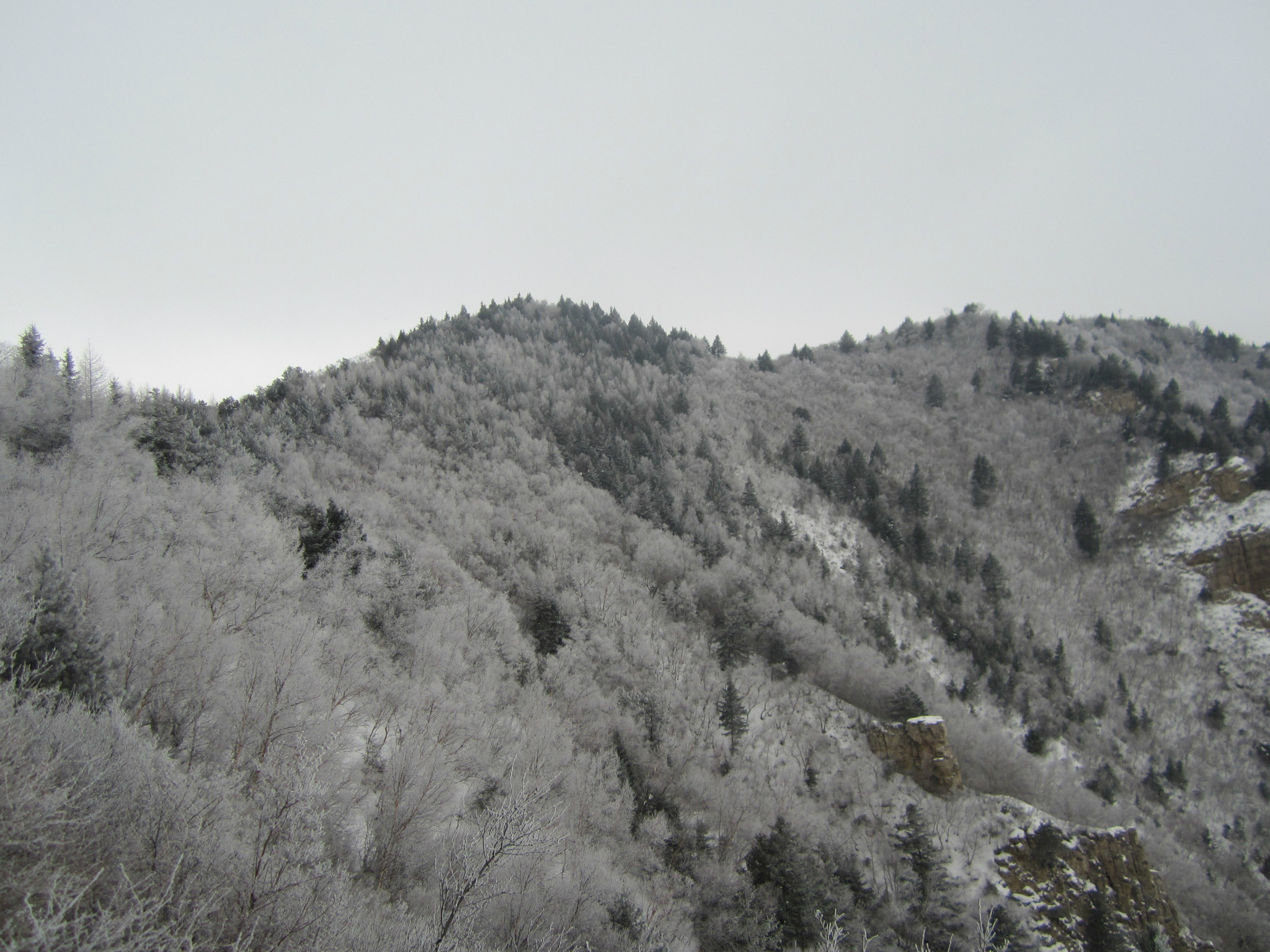 恒山人口_北岳恒山