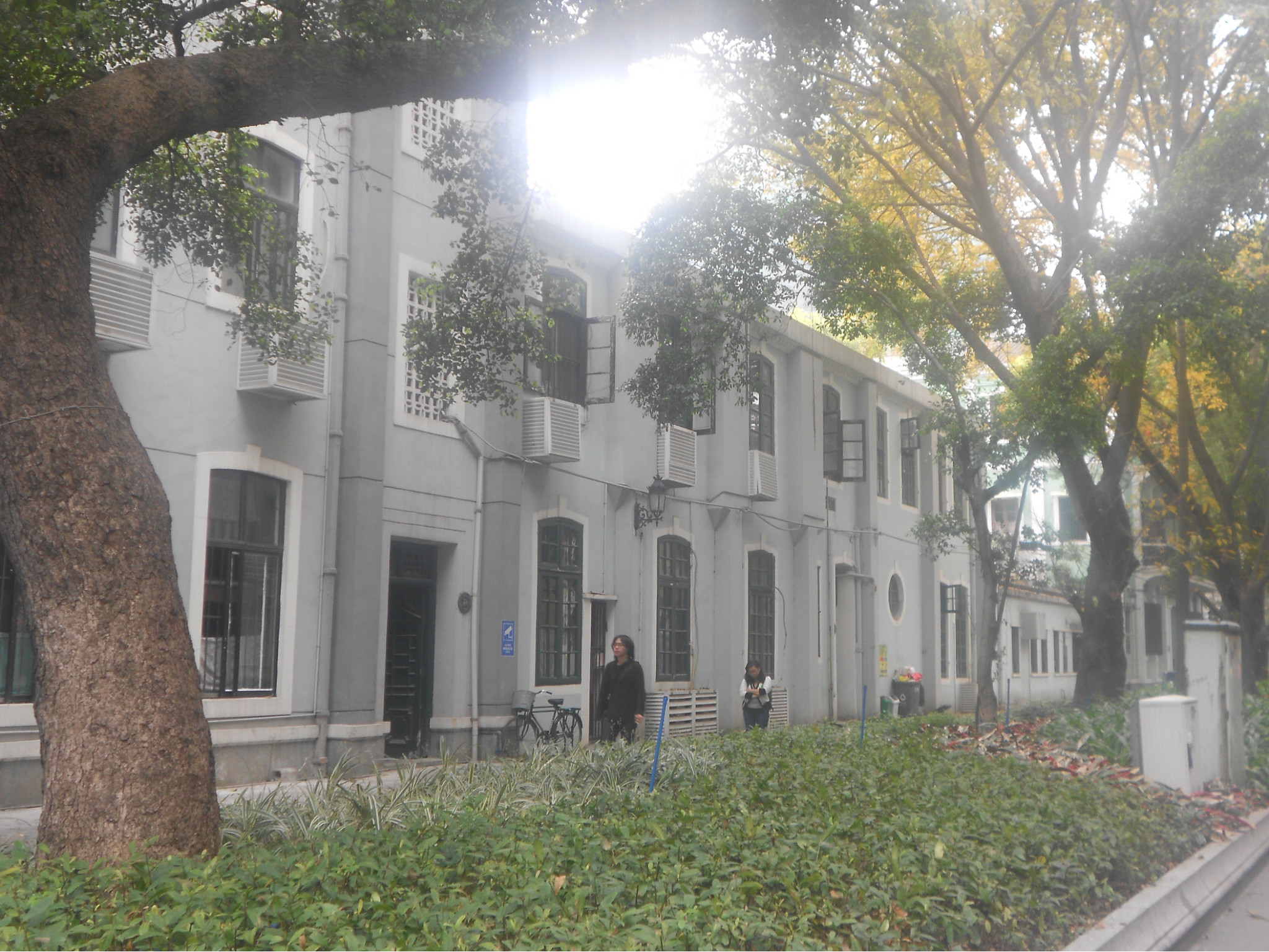 沙面街人口_广州沙面街图片(2)