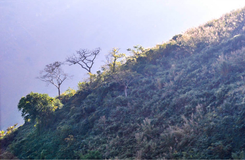 耿马县有多少人口_孟定镇普洱茶 茶叶 介绍(2)