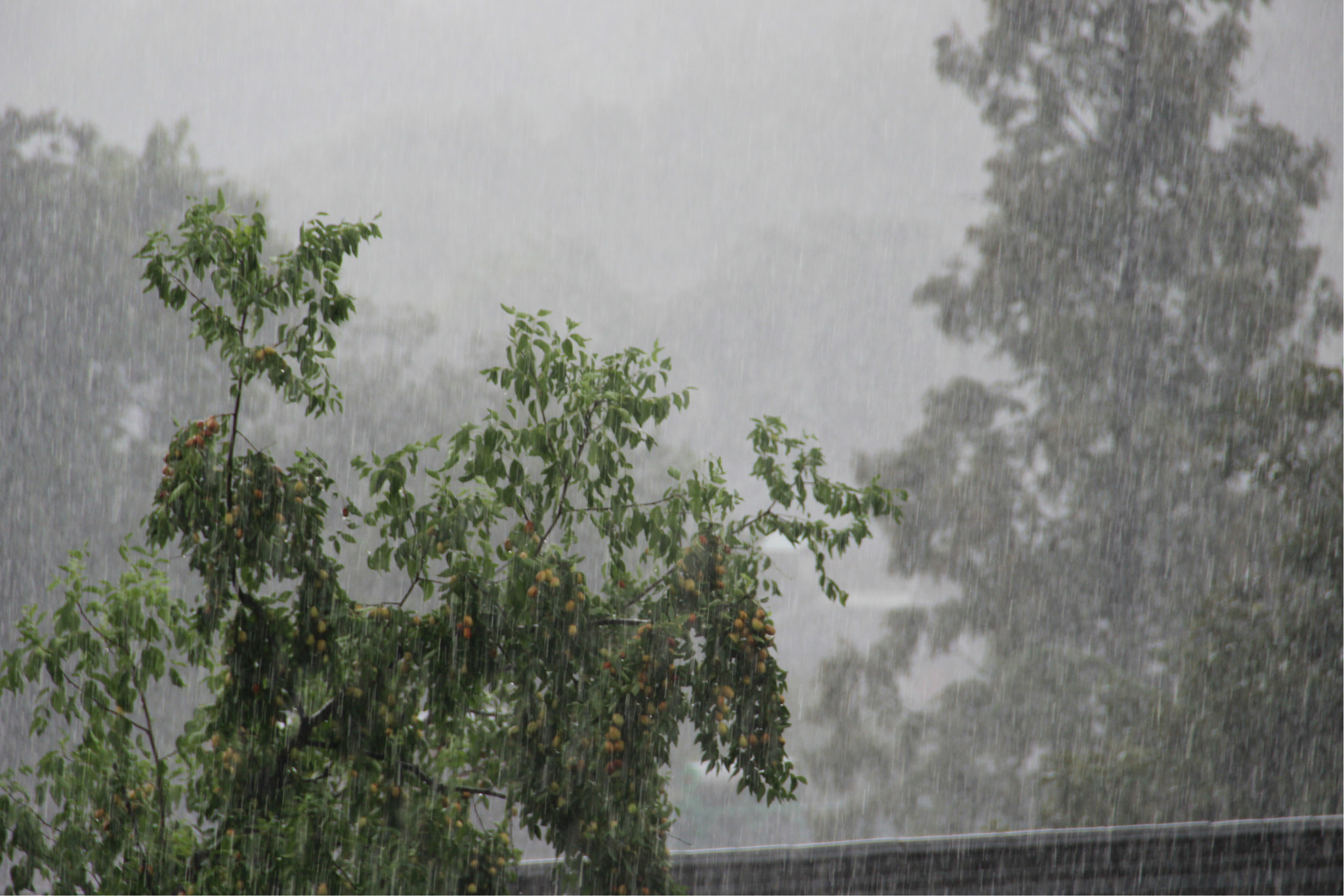 雨后氤氲的景象