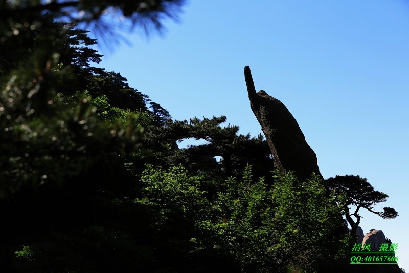 从光明顶至迎客松途中,黄山奇石,星罗棋布,点缀在波澜壮阔的黄山峰海