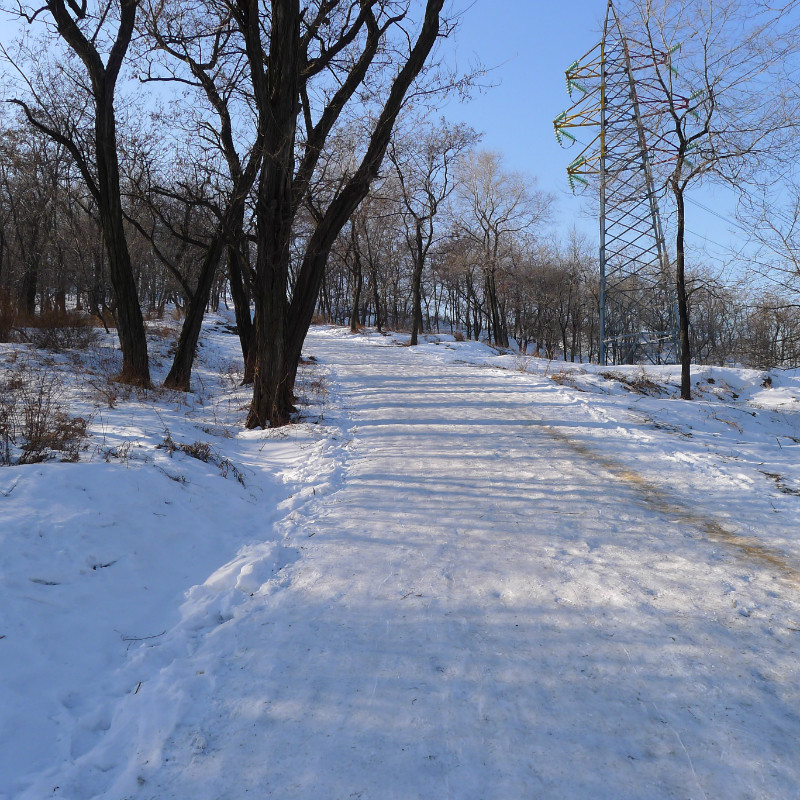 那年冬天的雪景-丹东