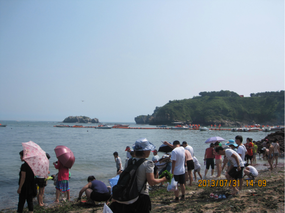 一个大连有多少人口_大连有轨老电车图片(2)