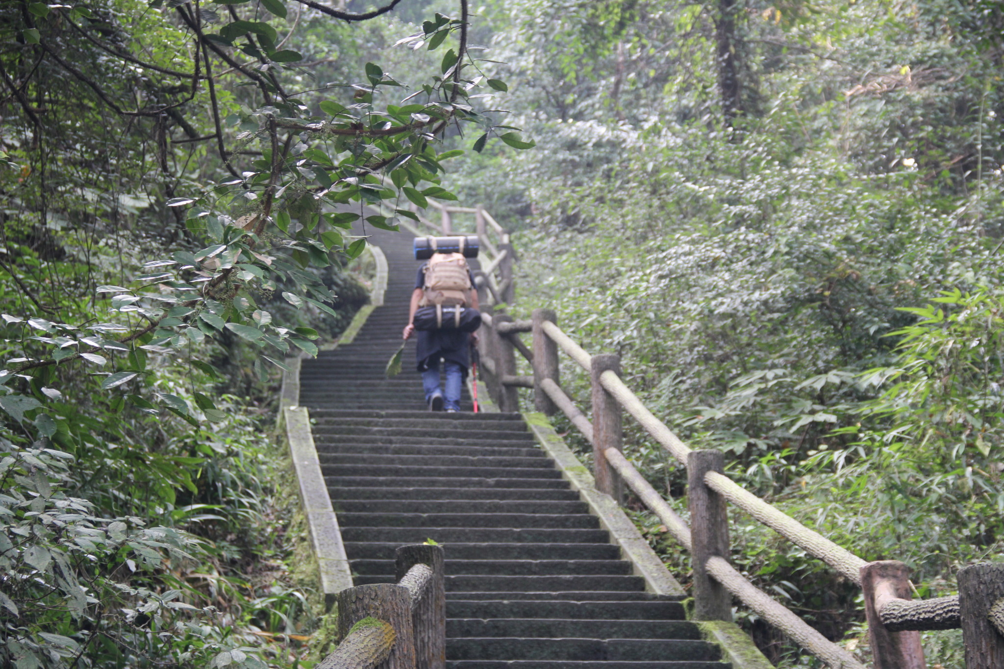 峨眉山游记图片