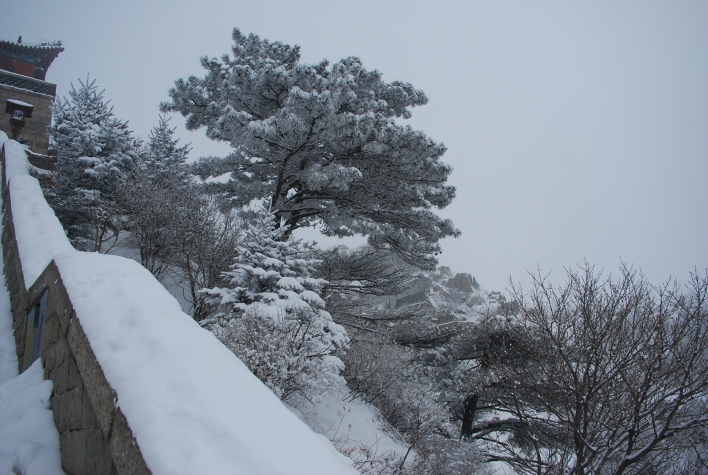 wKgB4lL3GwyATEj_AAhjL-UJ4-Q82.jpeg?imageView2%2F2%2Fw%2F600%2Fq%2F90%7CimageMogr2%2Fstrip%2Fquality%2F90