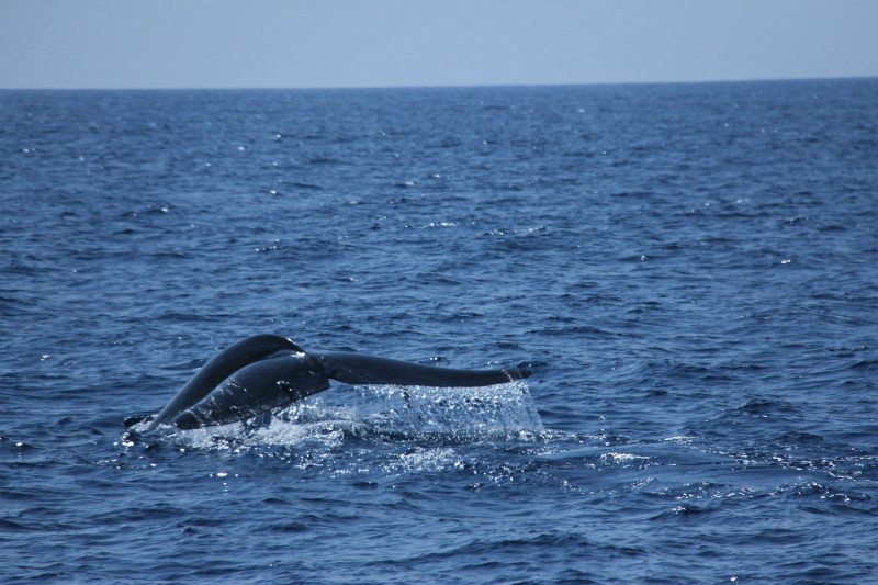 wKgB4lI6vJuAML6-AAV_g_uJp_A16.jpeg?imageView2%2F2%2Fw%2F600%2Fh%2F600%2Fq%2F90