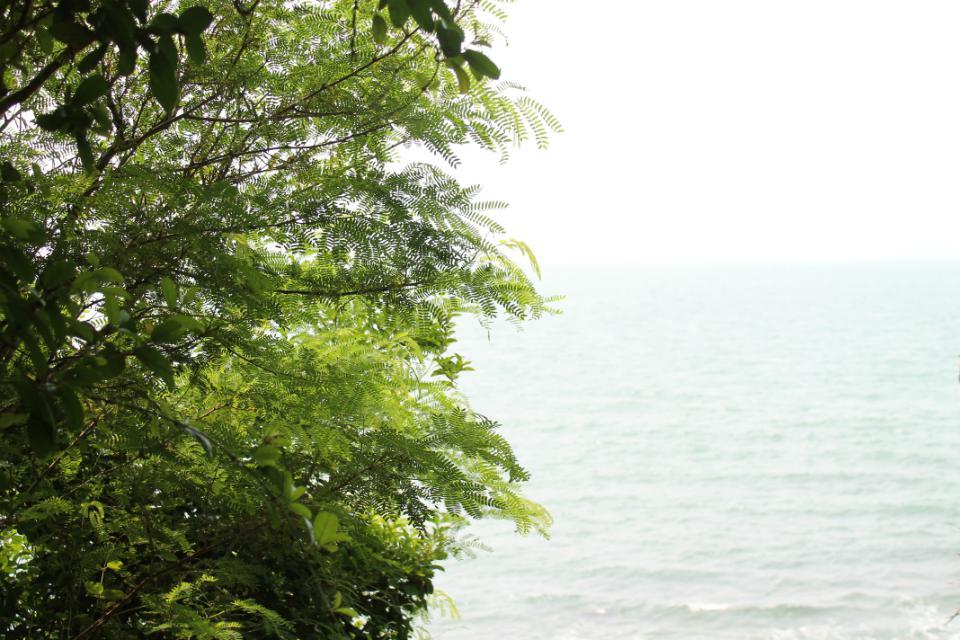 wKgB4lOibbWATZRsAAGswZr1J0033.jpeg?imageView2%2F2%2Fw%2F600%2Fh%2F600%2Fq%2F90