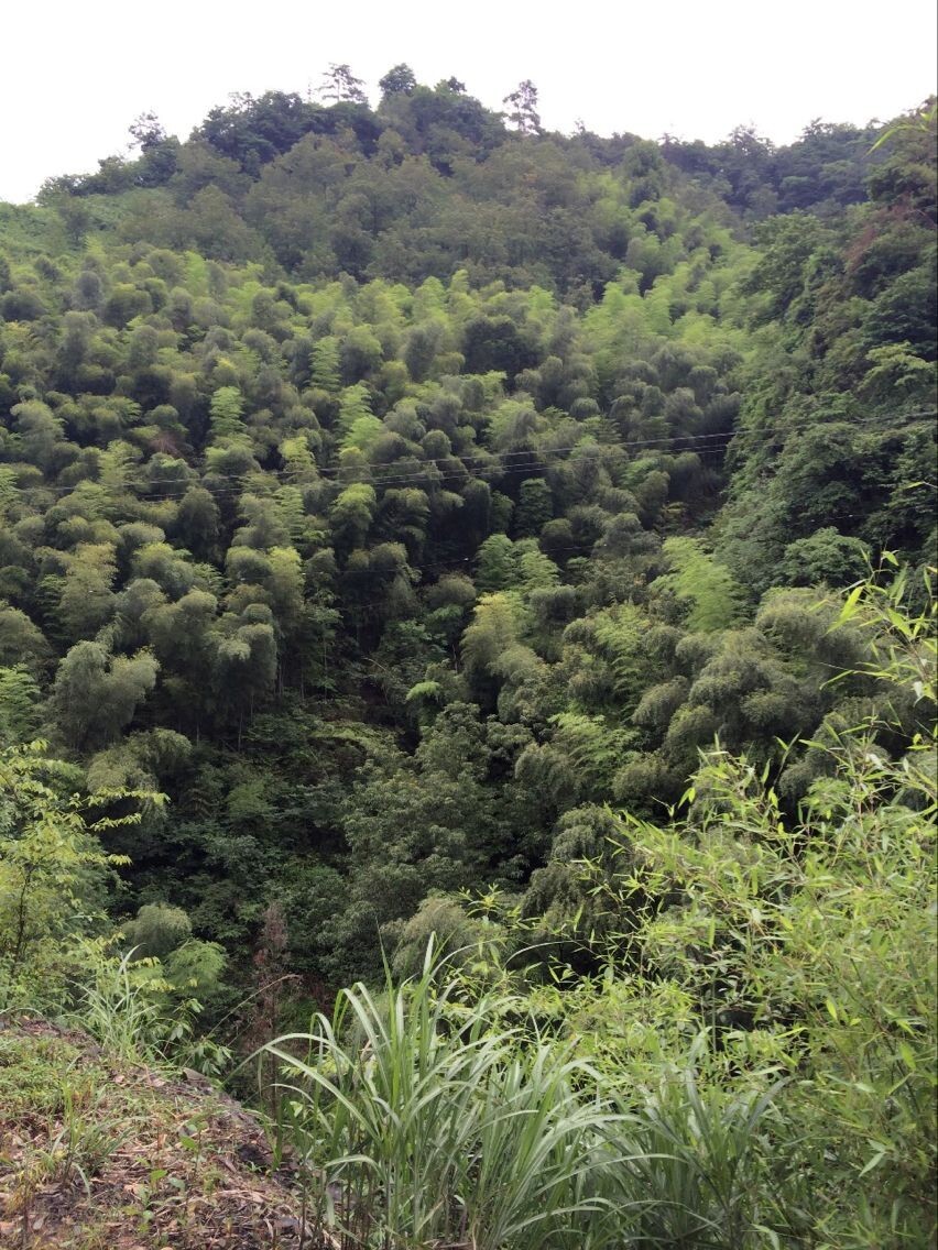 世外桃源、淳朴农家--宣城宁国飞峡谷探秘游记