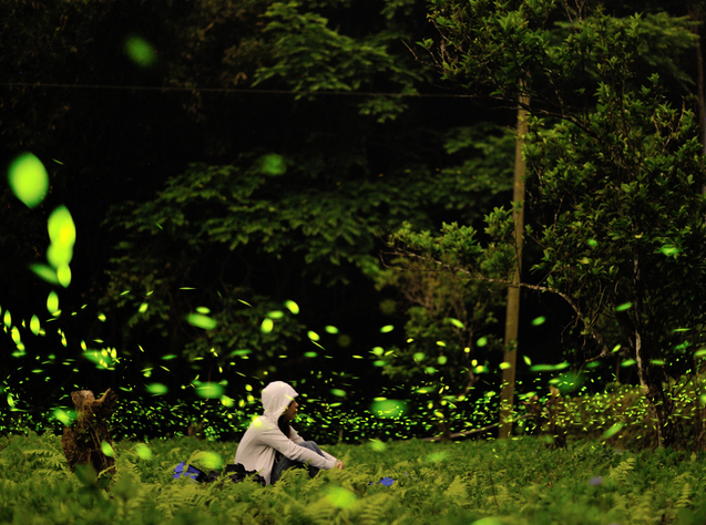 wKgB4lIuy2eAO0eIAAfmsPZCuTo635.png?imageView2%2F2%2Fw%2F2000%2Fh%2F600%2Fq%2F90