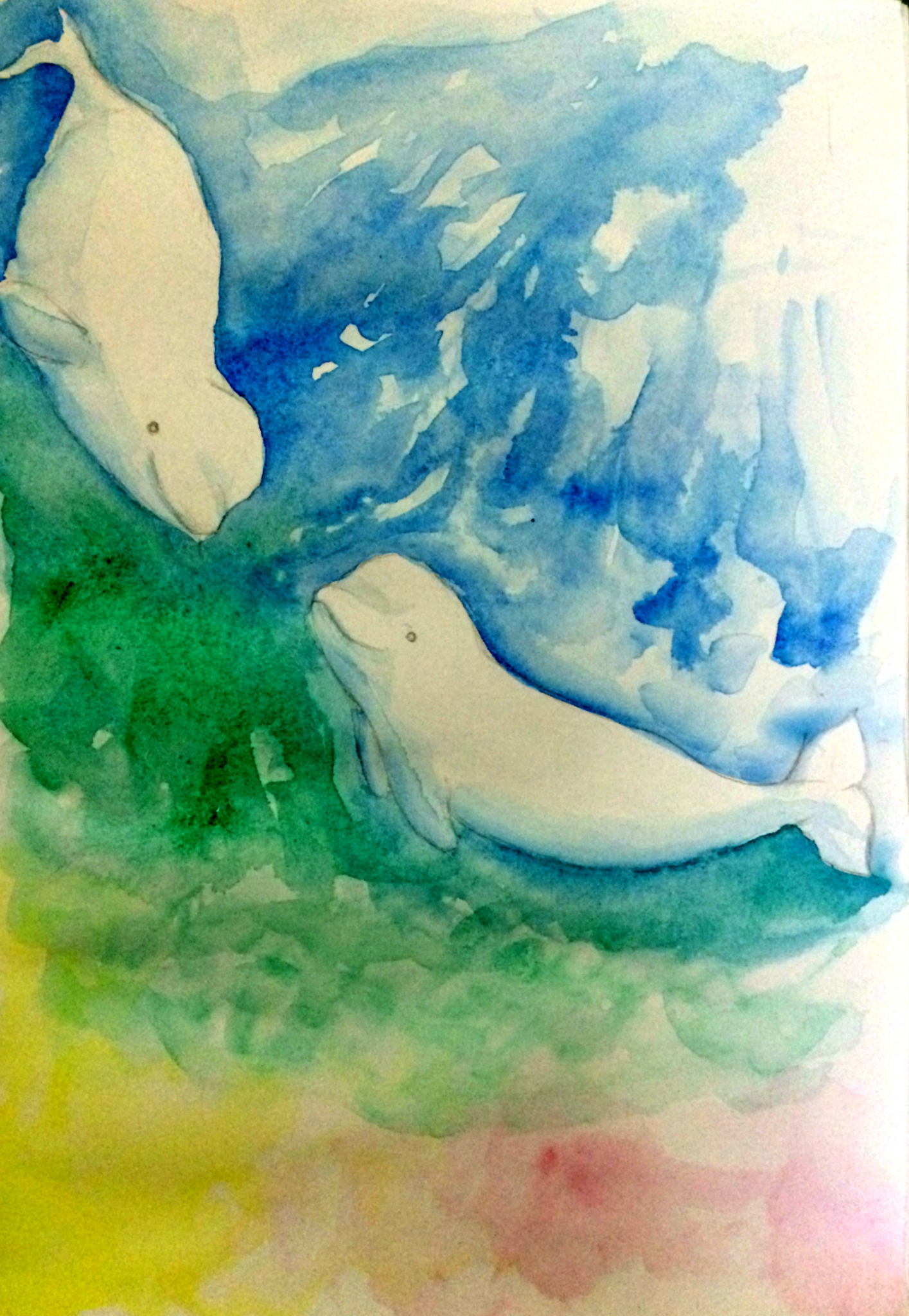 萌小兔的手绘, 因为白鲸太可爱,忍不住要把他们画下来