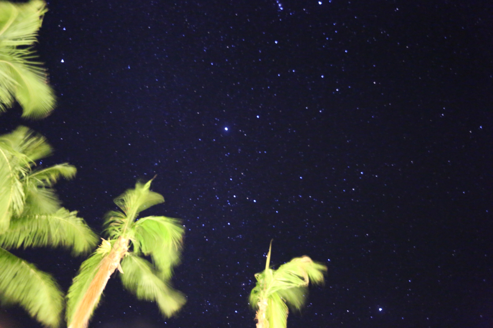 帕劳罗曼·莫图国际机场,罗曼·莫图国际机场