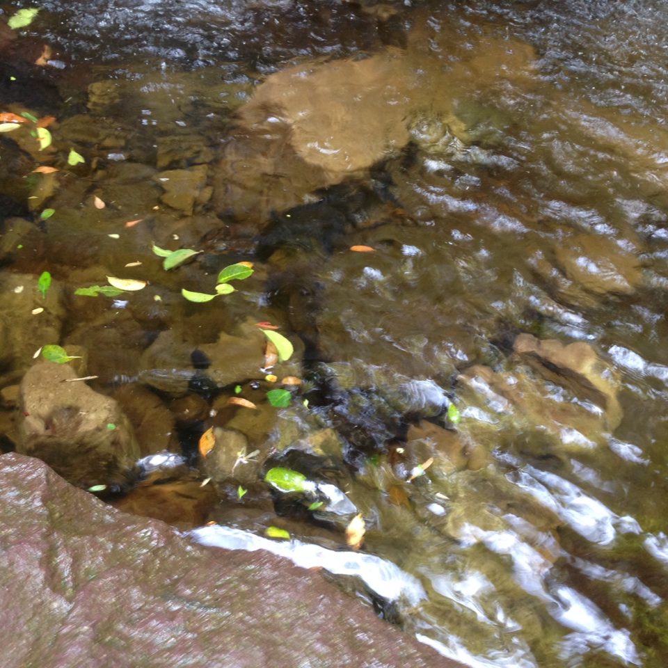 wKgB4lOMbWSAbNhcAAUXN_Mu14480.jpeg?imageView2%2F2%2Fw%2F600%2Fq%2F90%7CimageMogr2%2Fstrip%2Fquality%2F90