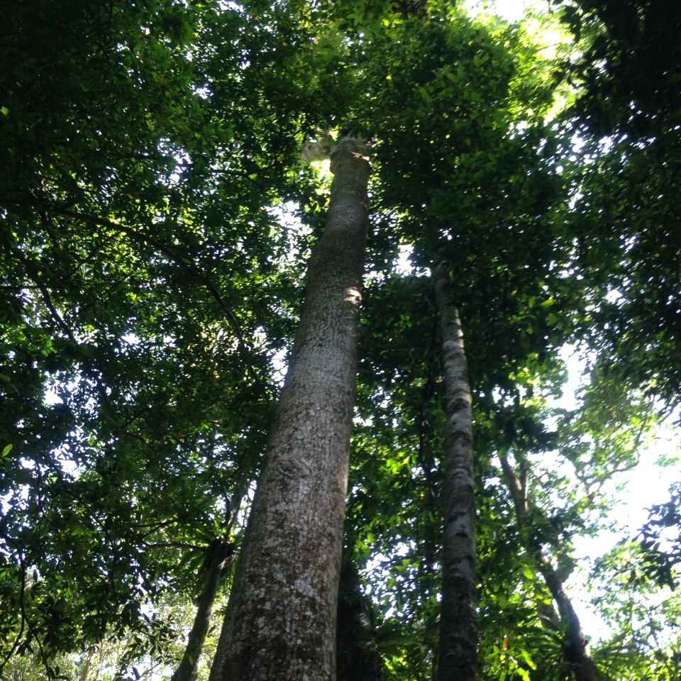 wKgB4lOMbmmAFbEeAAfiVpl1d1s06.jpeg?imageView2%2F2%2Fw%2F600%2Fq%2F90%7CimageMogr2%2Fstrip%2Fquality%2F90