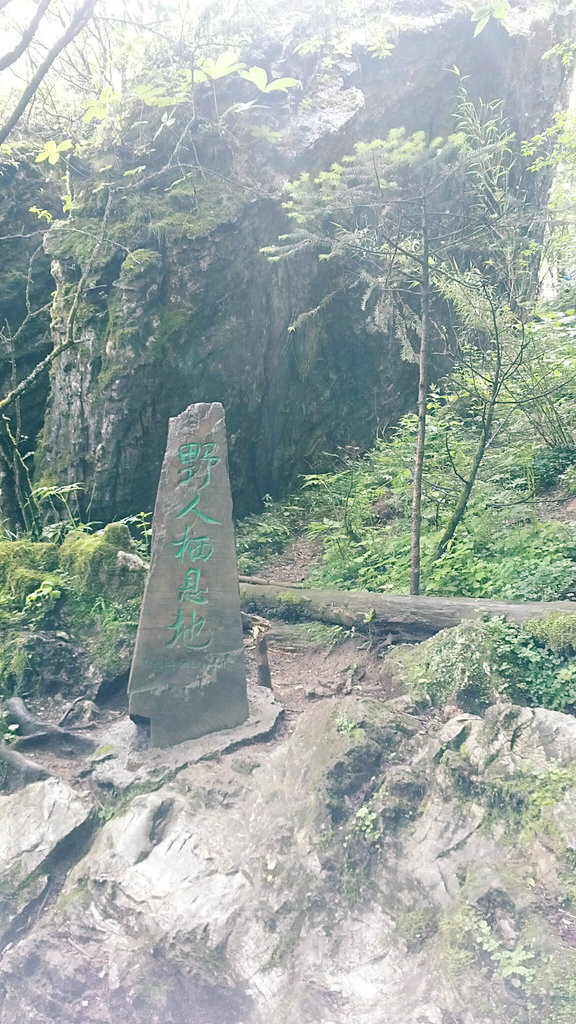 神农顶老总_神农尝百草图片(3)