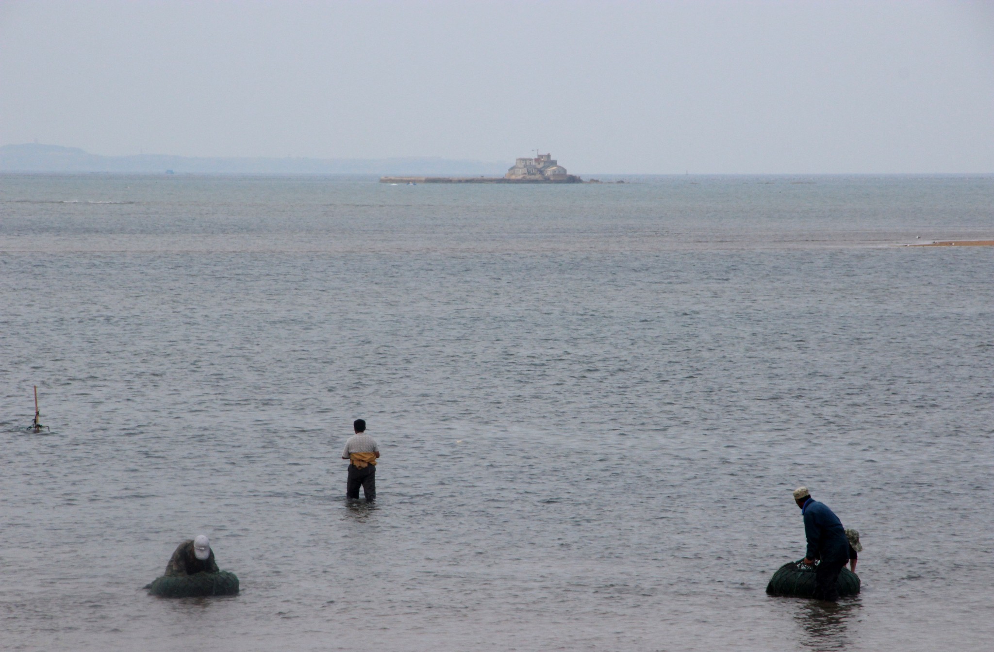 海边学习赶海