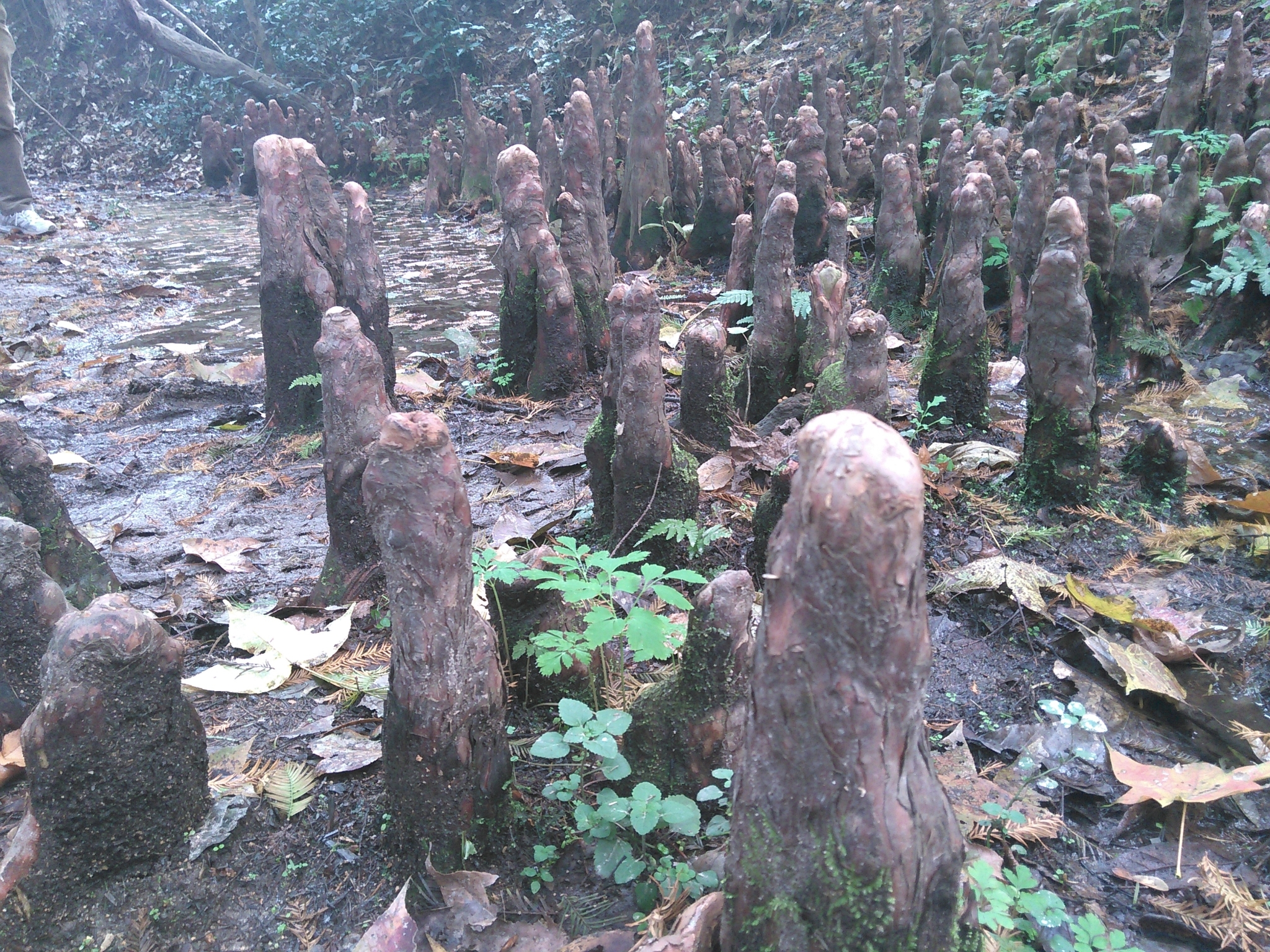 信阳新县好地方—信阳 2014年11月