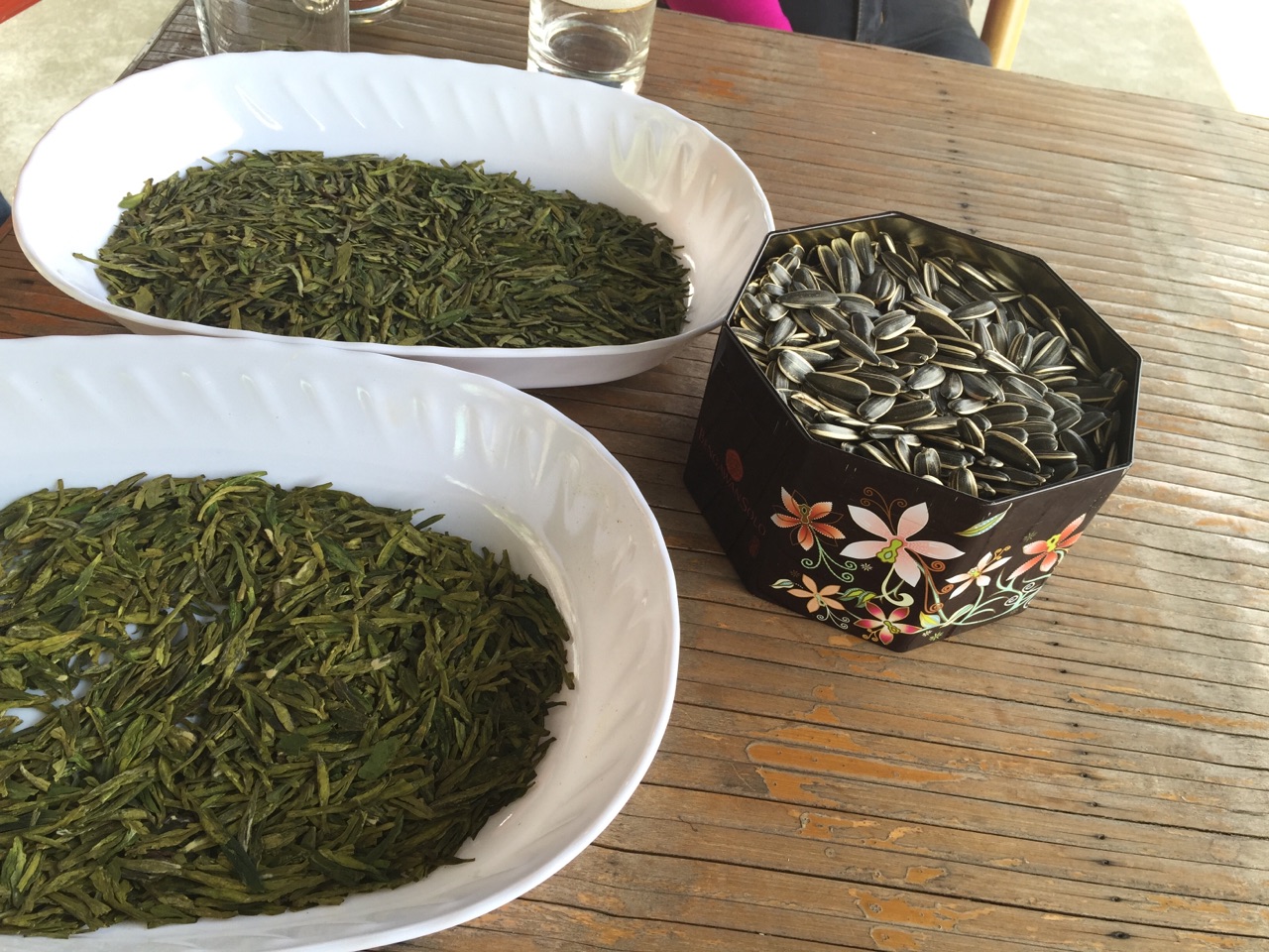 房子后一颗树猜成语_看图猜成语(3)