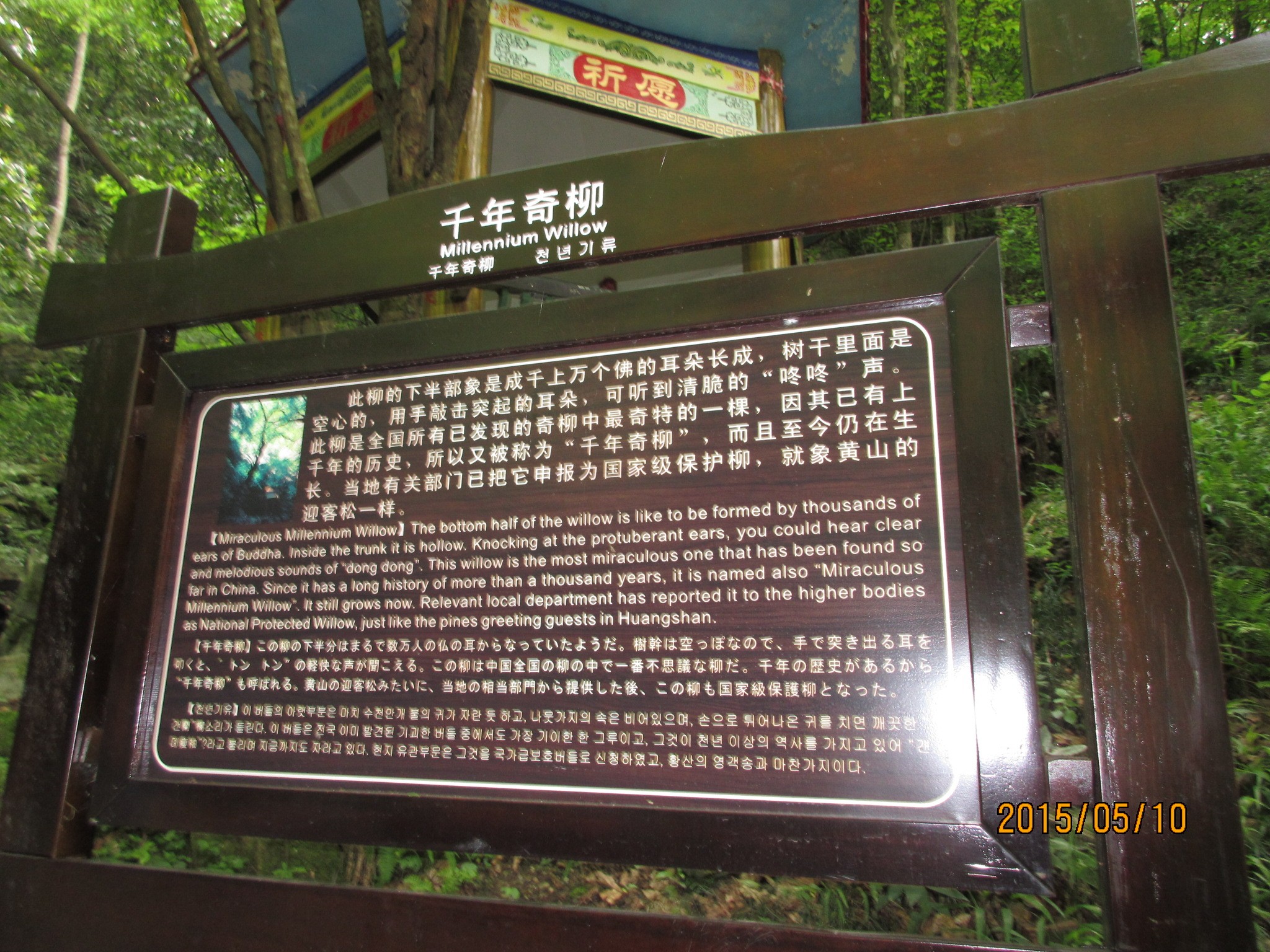 燕子河镇gdp_燕子简笔画(3)