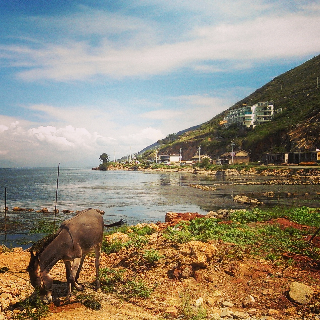 丽江旅游人均_丽江旅游景点图片