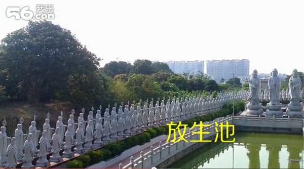 龙海市浮宫镇经济总量_龙海市颜厝镇巧山村(2)