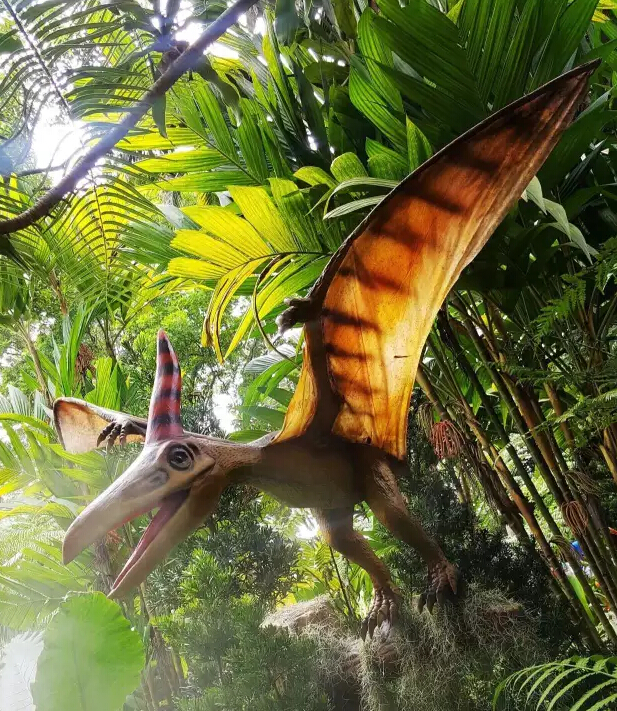 pachycephalosaurus 厚头龙