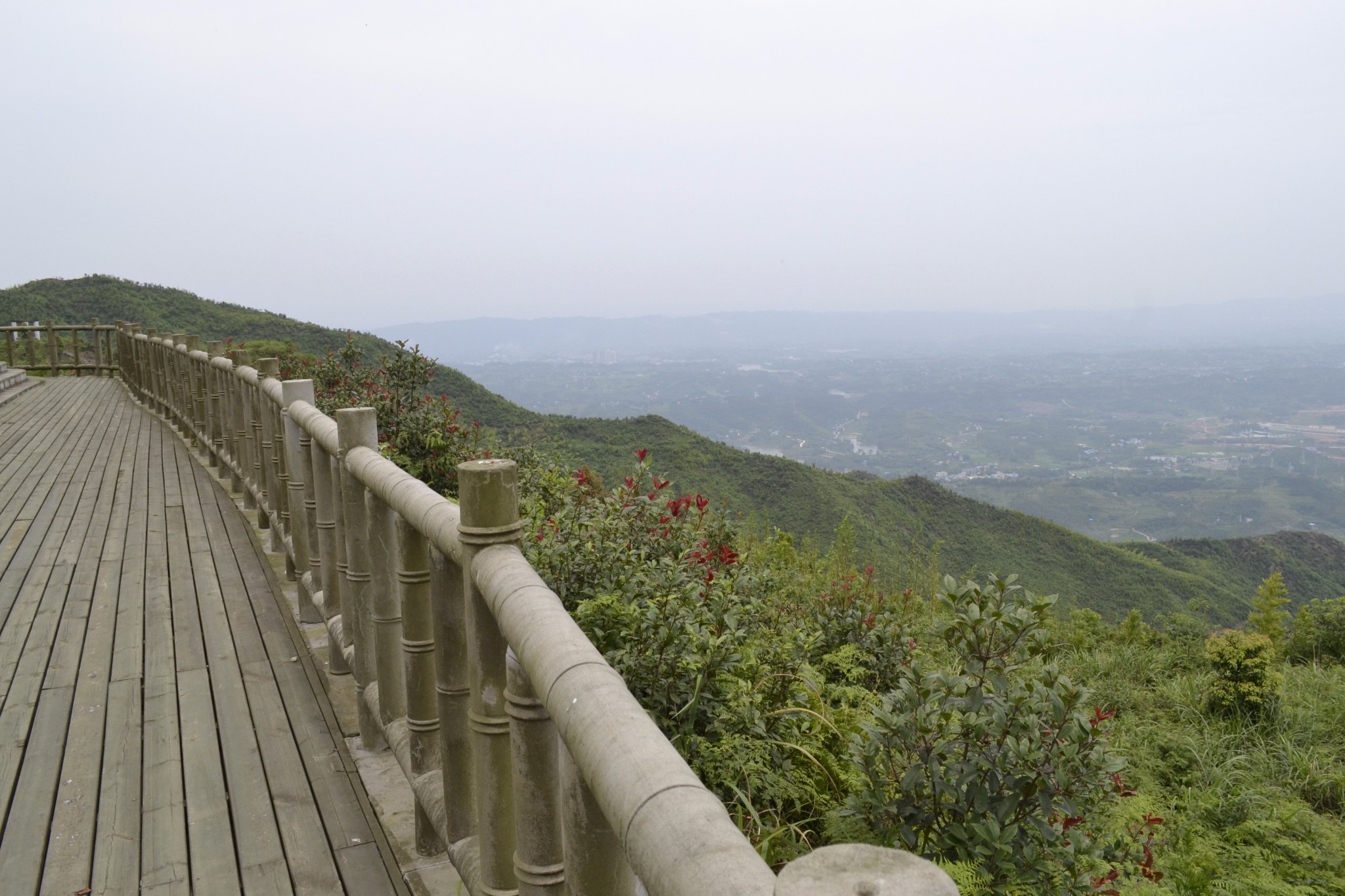 行走~重庆永川茶山竹海,十里荷香,永川旅游攻略 马蜂窝