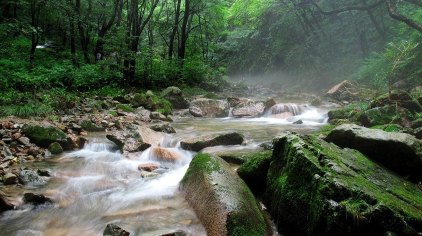 绿石谷—隶属辽宁本溪汤沟国家森林公园,因谷中石上苔藓碧绿,大小