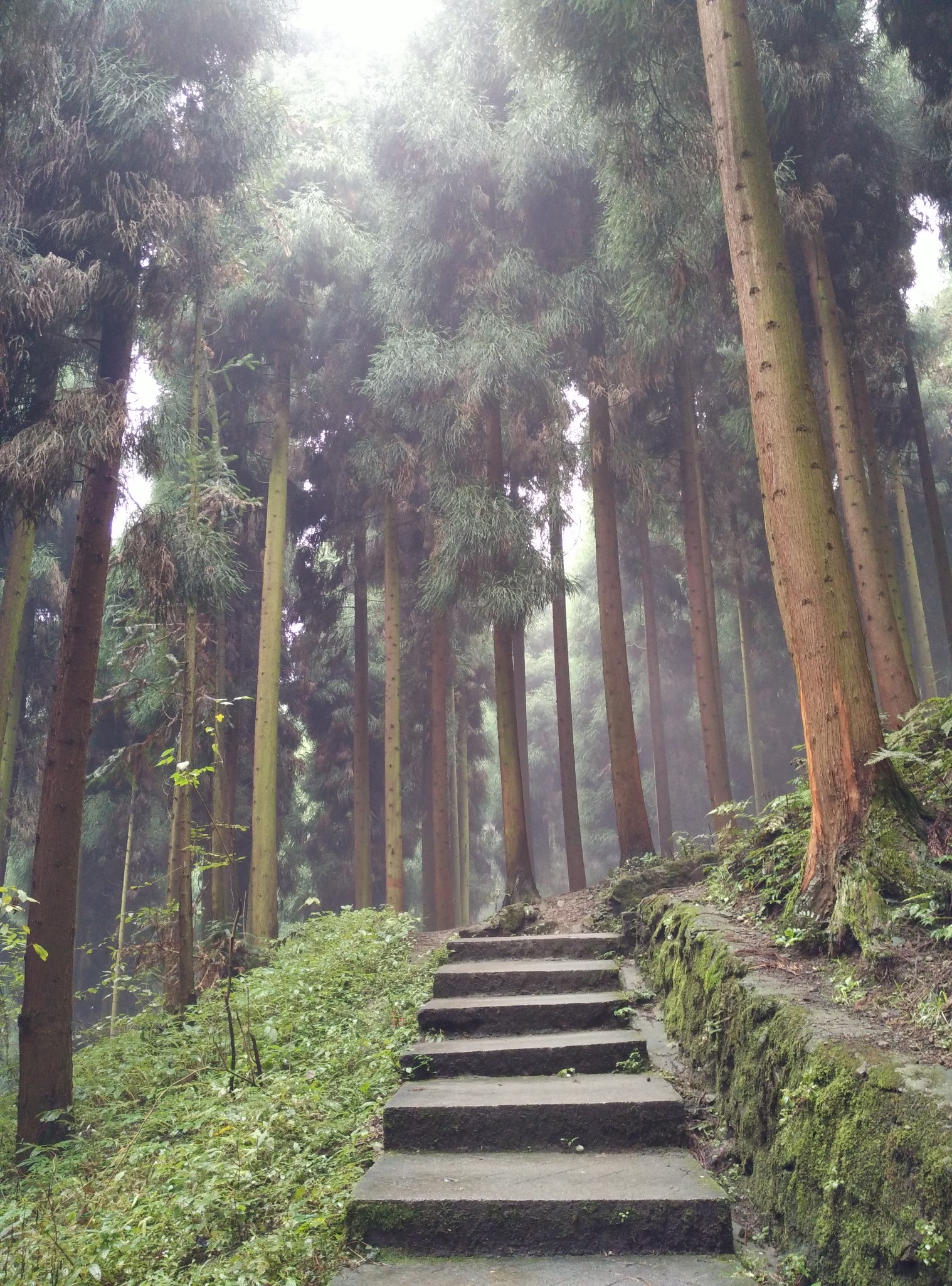 什邡莹华山        