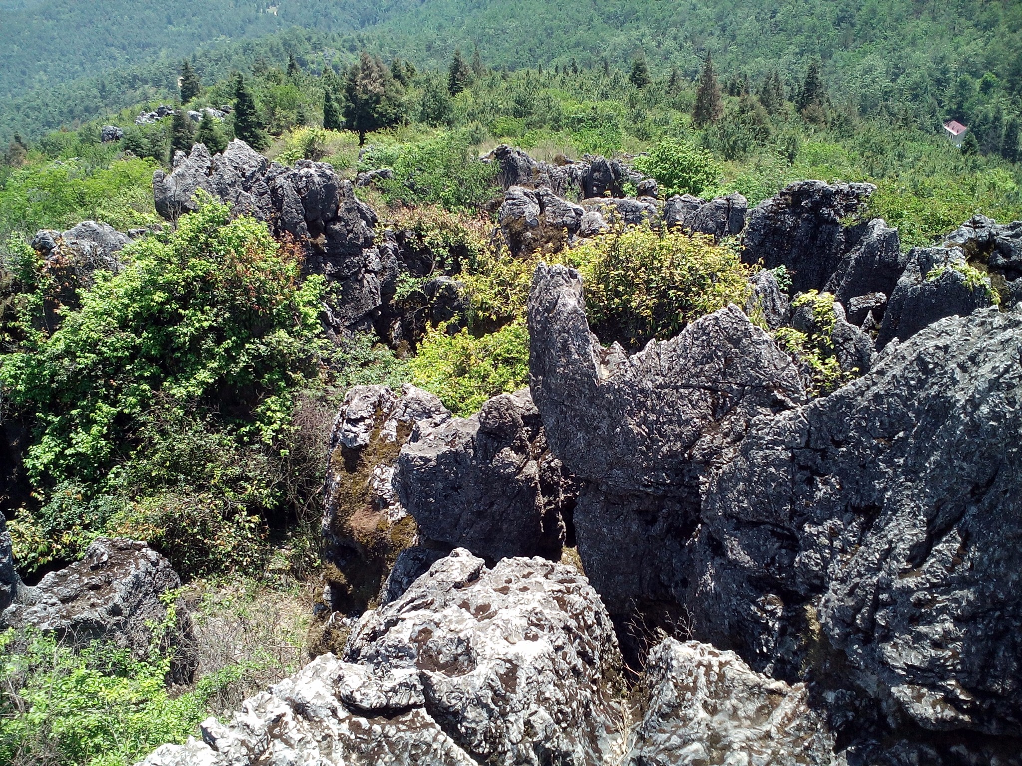 玉溪龙马山石城公园      