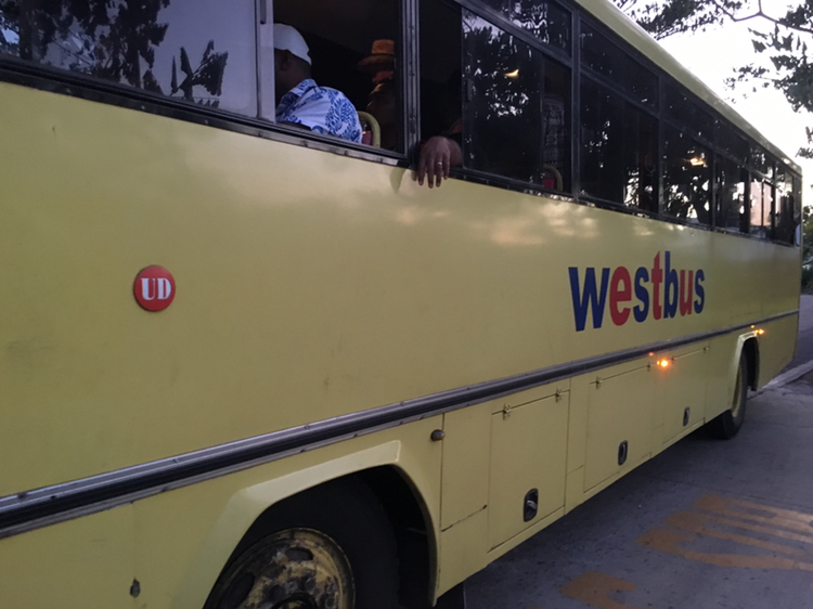 请问去斐济想买手工皂,purefiji什么的在机场还