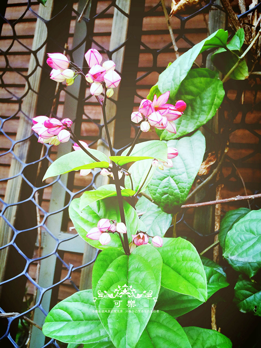 北投温泉,台北旅游攻略