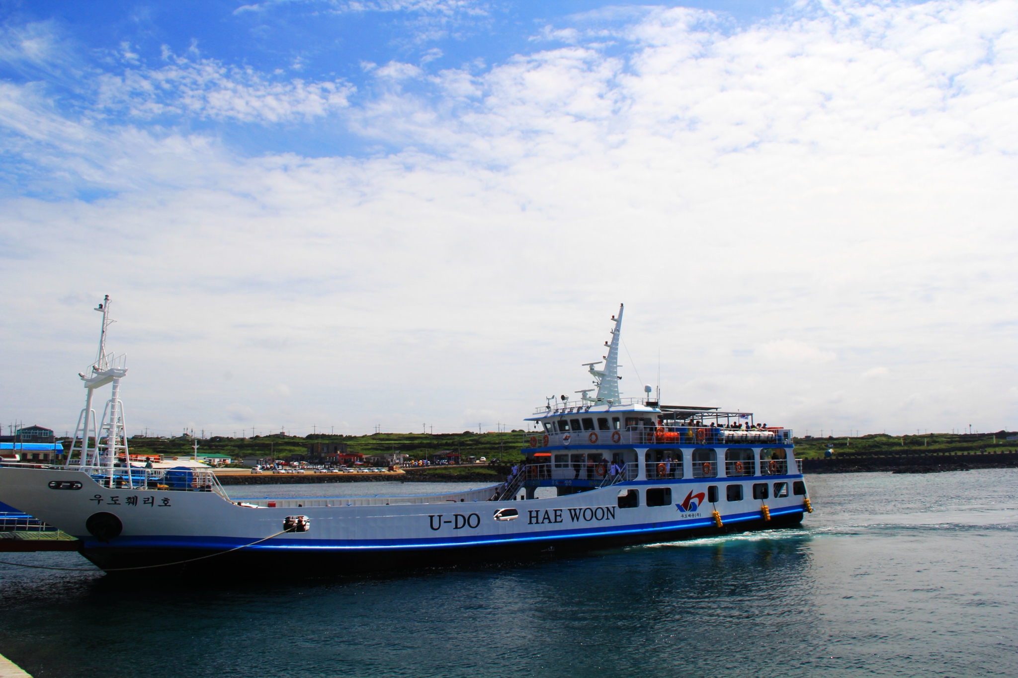 济州排名_济州真柏盆景图片(3)